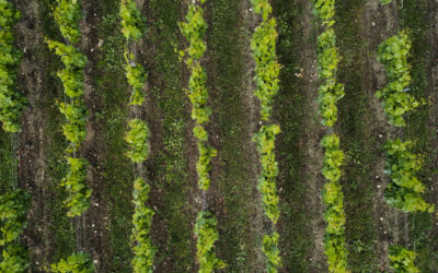 formation drone photosynterre savoie