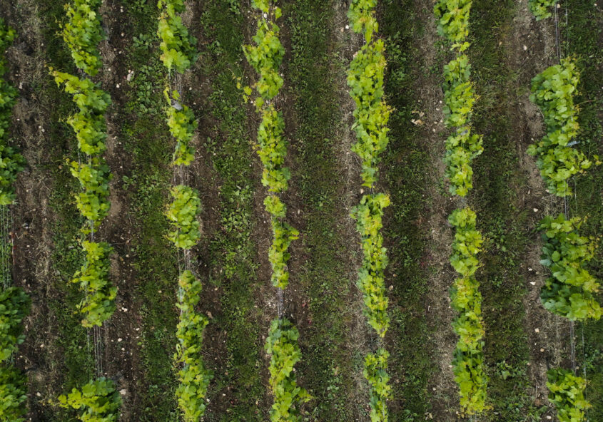 formation drone photosynterre savoie