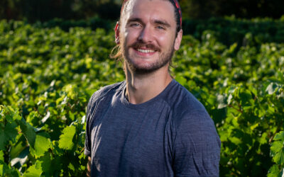 Prestations de service